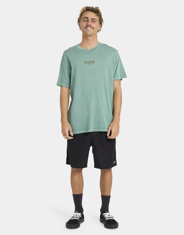 Billabong - Mens Pure Intentions T-Shirt