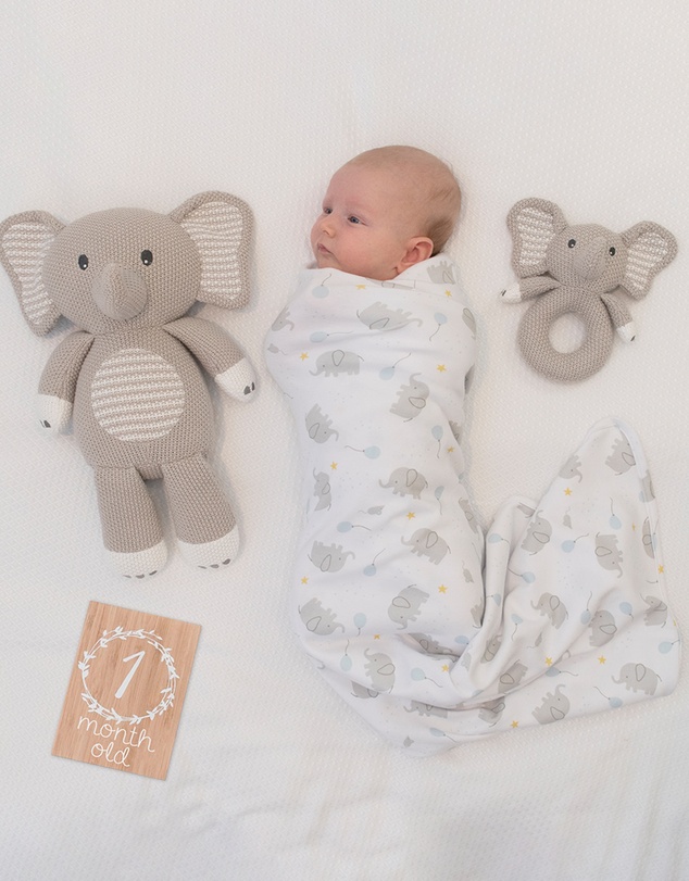 Living Textiles - Knitted Toy - Mason the Elephant