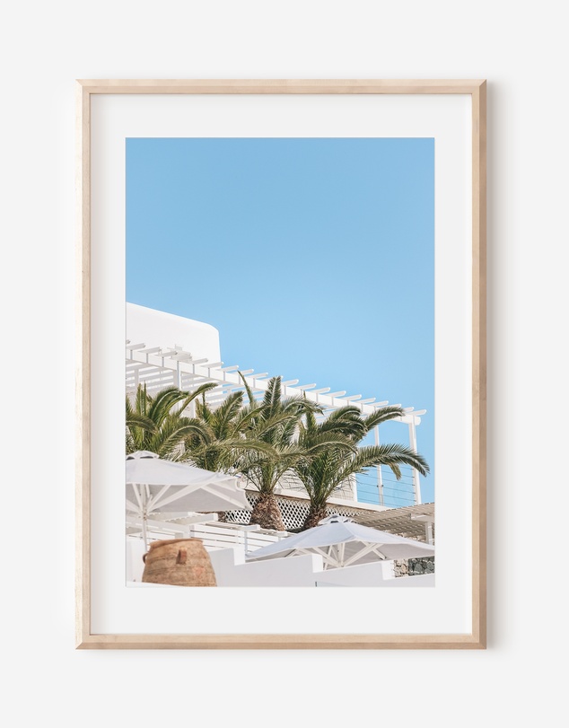 LEGGERA - Mykonian Palms Print