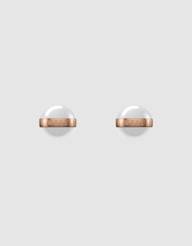 Daniel Wellington - Aspiration Earrings
