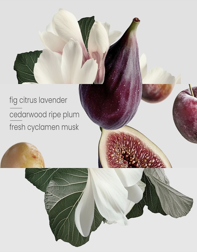 Kirri by Scent Australia Home - Fig Tree Candle (400g) Duo