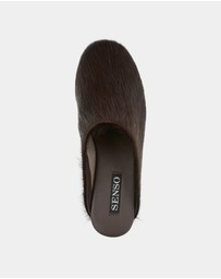 Senso - Caelan
