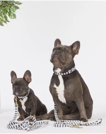 Mog & Bone - Multi-Function Hemp Dog Lead - Charcoal Hampton Stripe
