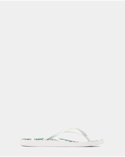 Palm White