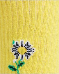 Crate - Daisy Socks Bundle - Unisex