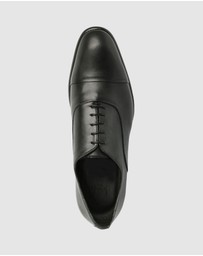 Brando - William Lace Ups