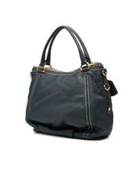 Pre-Loved by Azura Reborn - Pre-Loved Vitello Daino Zip Top Satchel