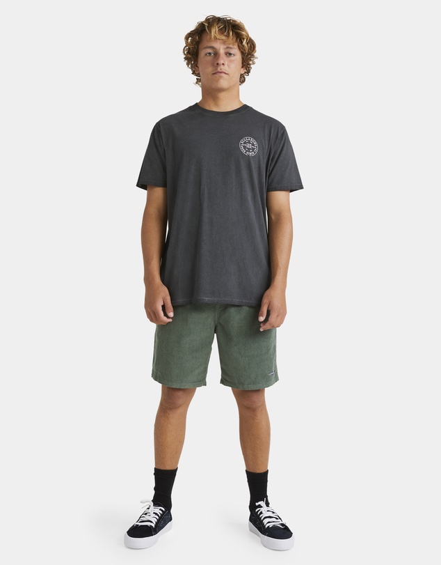 Billabong - Mens Big Wave Daz T-Shirt
