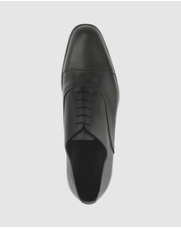 Brando - William Lace Ups
