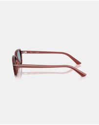 Ray-Ban - RB4455