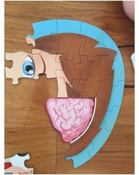 Sassi - Travel Learn Explore The Body Puzzle