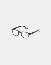 IZIPIZI - Reading Collection B Tortoise