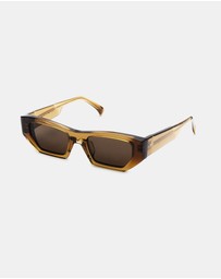 AM Eyewear - Lipcer
