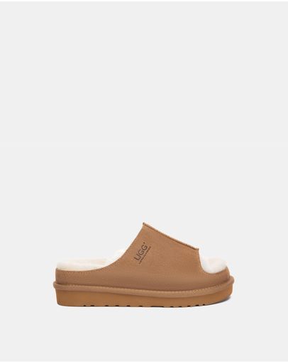 Chestnut