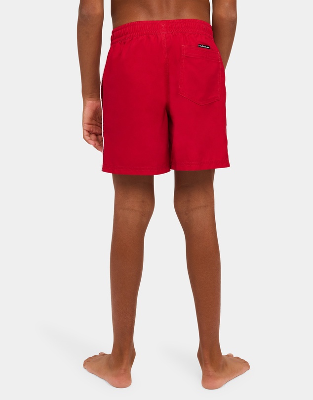 Quiksilver - Boys 8 to 16 Everyday Vert 14