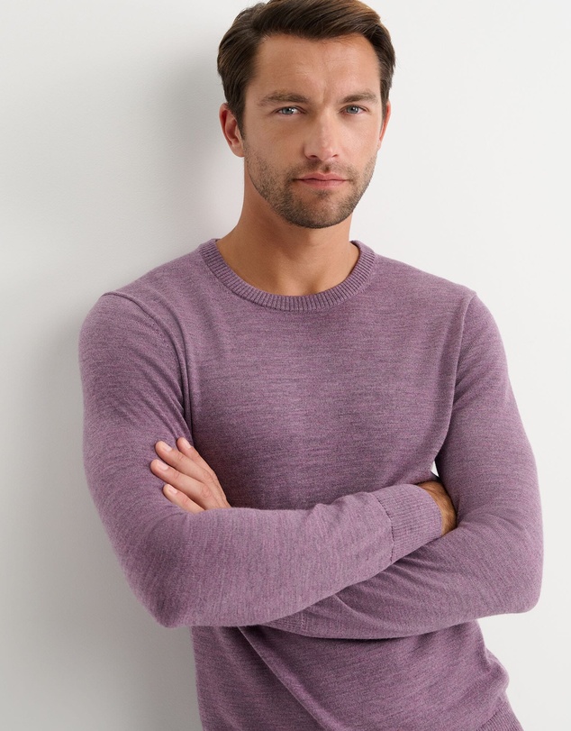 Sportscraft - Merino Crew Neck Knit