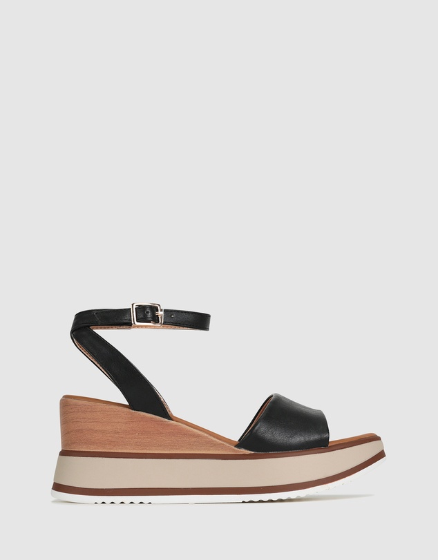 Los Cabos - Kaja