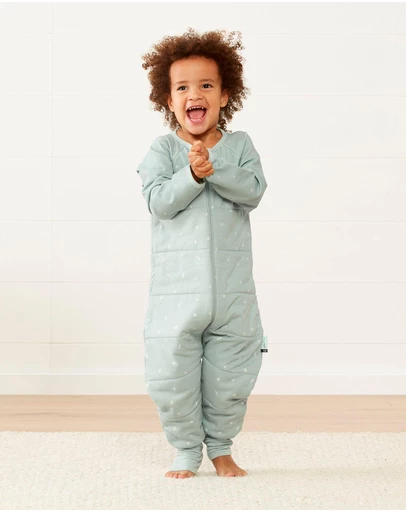 ergoPouch - Sleep Onesie 2.5 TOG