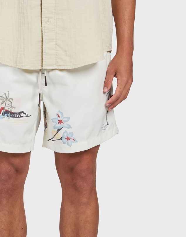 Academy Brand - North Shore Boardy