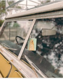 The Commonfolk Collective - Mustard Tail Air freshener - 3 pack
