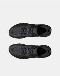 ECCO - ECCO Biom 2.2