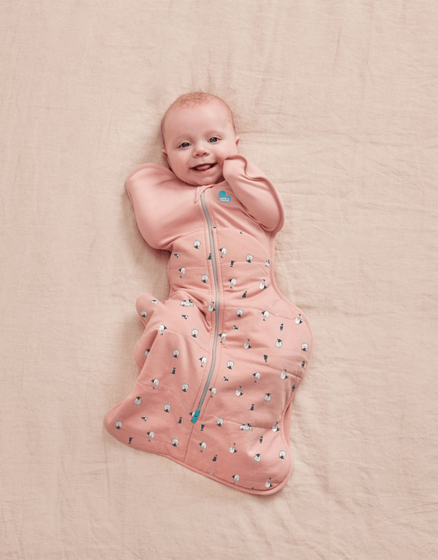 Love to Dream - Swaddle Up™ Original 2.5 TOG Quilted Organic Cotton & Merino Lamb's Best Friend Rose