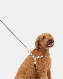 Mog & Bone - Classic Hemp Lead - Charcoal Hamptons Stripe