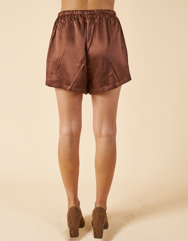 CAMIXA - Lulu Silk Shorts