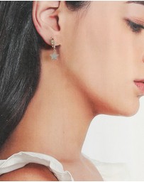 ALDO - Wealign Earrings