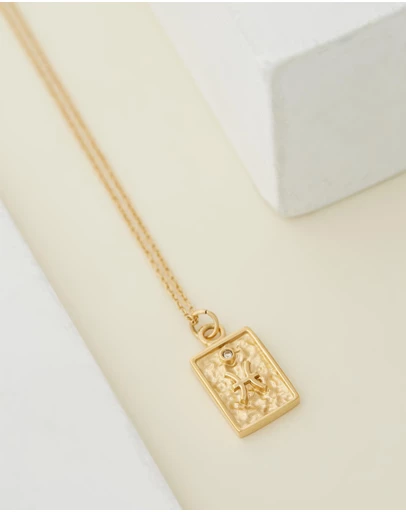 Carly Paiker - Pisces Star Sign Zodiac Tag Necklace