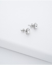 Ted Baker - Soletia Solitaire Sparkle Crystal Stud Earrings