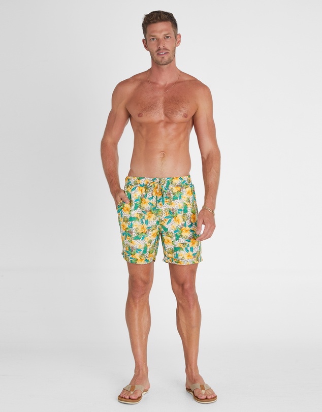 Aqua Blu Australia - Dahlia Taylor Shorts