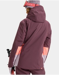 Roxy - Womens Stormdash Snow Jacket