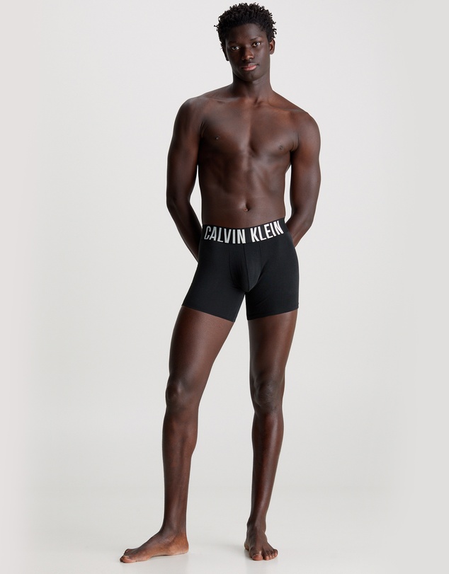 Calvin Klein - Intense Power Cotton 3 Pack Boxer Briefs