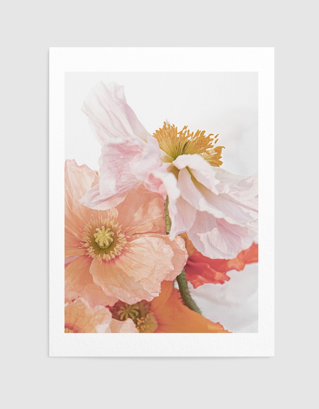 Olive et Oriel - Luxe Poppy III Art Print