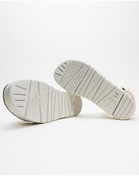 Camper - Oruga Up
