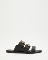Sol Sana - Sensei Slides