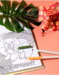 Journey Of Something - Alphabet Safari Colouring Kit