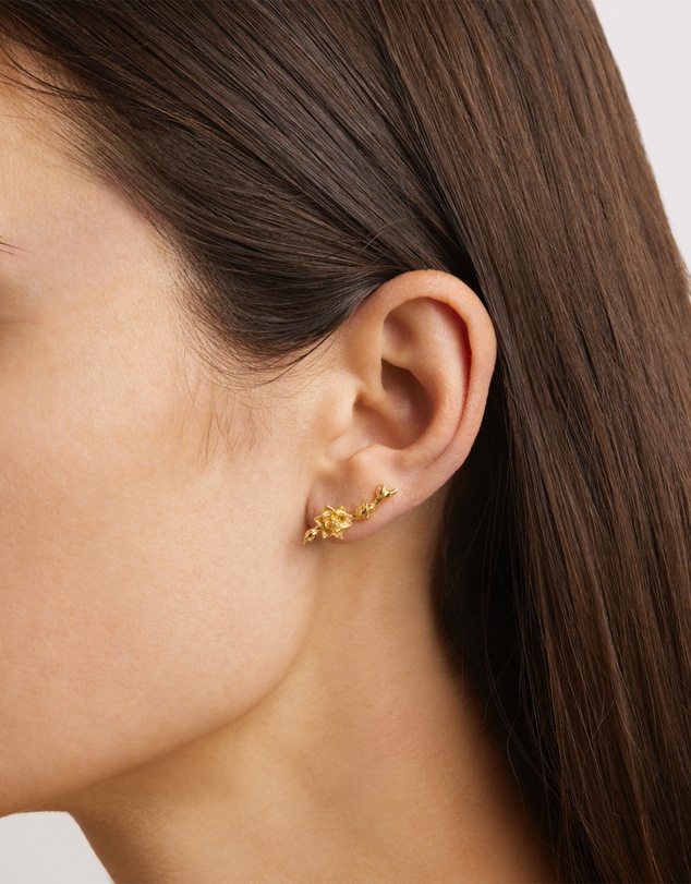 By Charlotte - Bloom Within Lotus Ear Crawlers