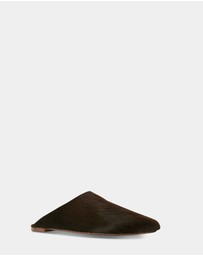 Senso - Caelan