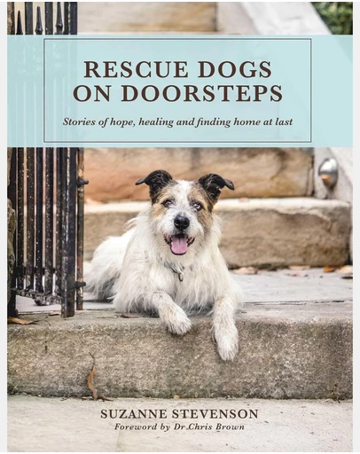 Brumby Sunstate - Rescue Dogs on Doorsteps