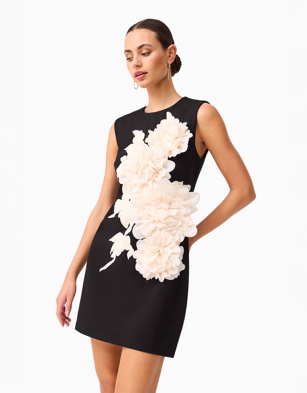 Elliatt - Zahara Mini Dress