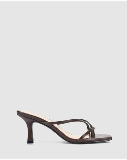 Chocolate Brown