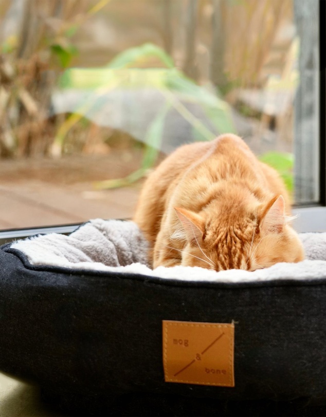 Mog & Bone - Reversible Cat Bed - Black Denim