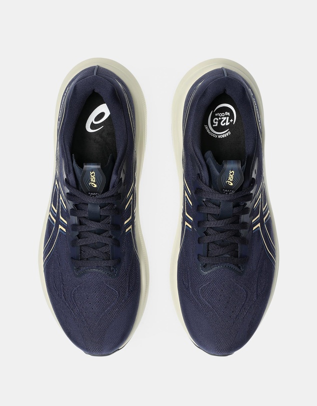 ASICS - Gt-2000 14 (4E Extra Wide) - Men's