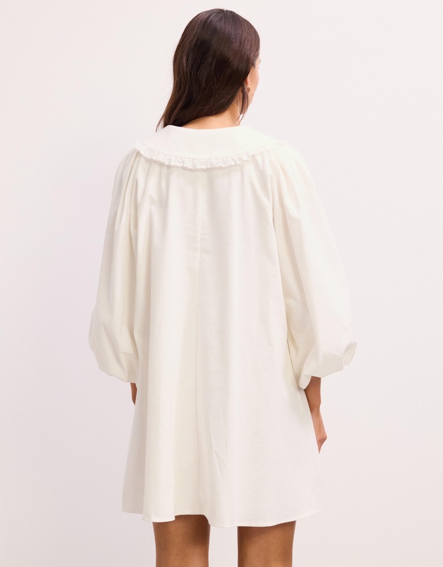 The Fated - Paige Collared Mini Dress