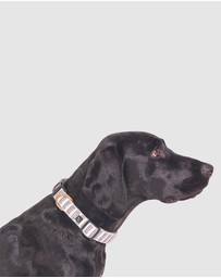 Mog & Bone - Hemp dog collar - Latte Mosaic Print