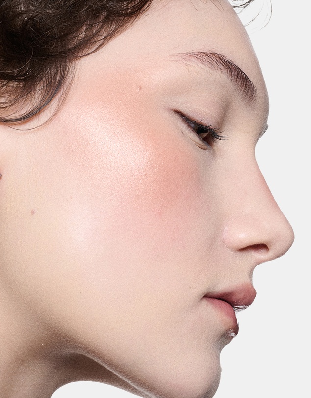 MAC - Skinfinish Colourstruck Blush
