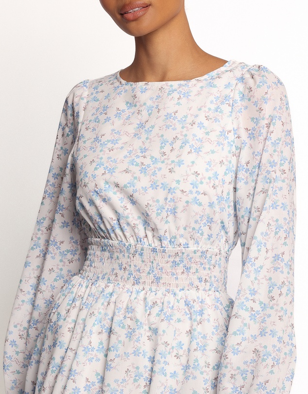Petal & Pup - Roman Long Sleeve Maxi Dress - Blue Floral