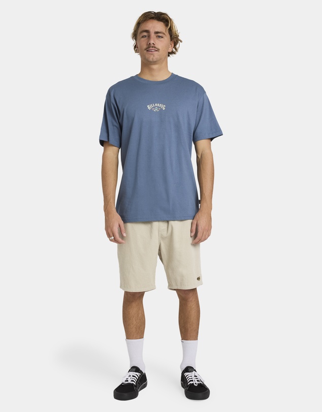Billabong - Mens Rose Arch Regular T-Shirt